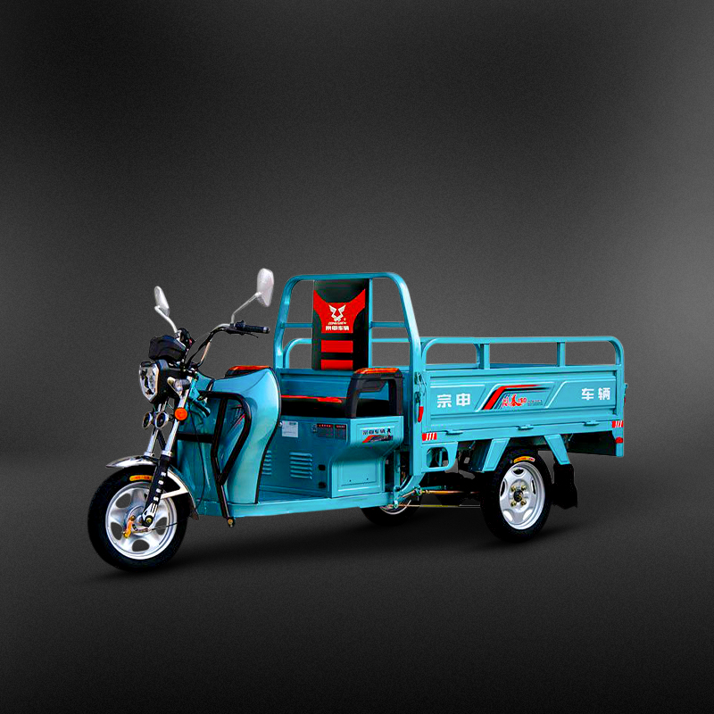 Electric Cargo Van