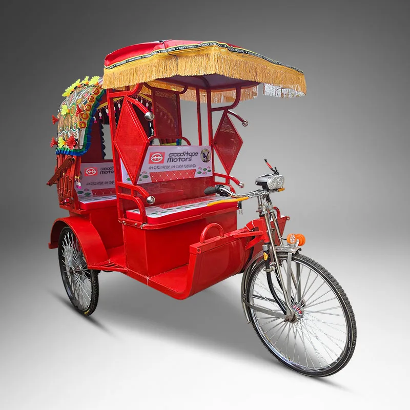 Duranta E Bike Tricycle