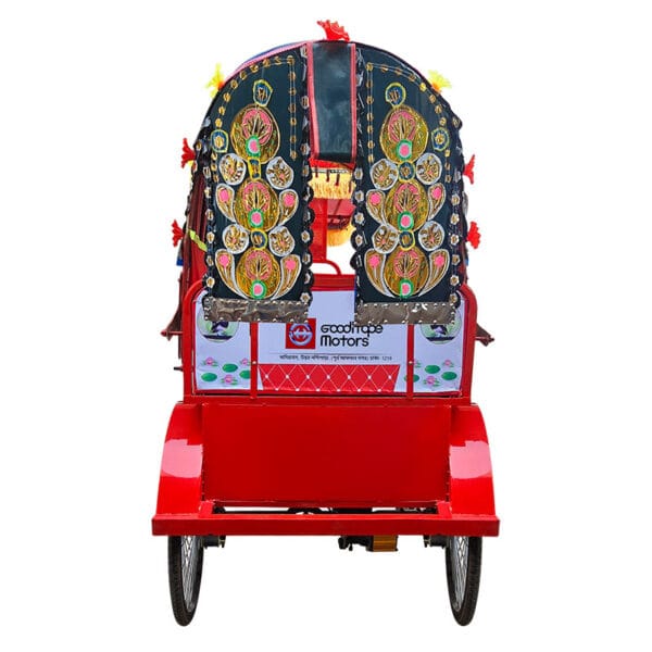 Duranta E Bike Tricycle - Image 3