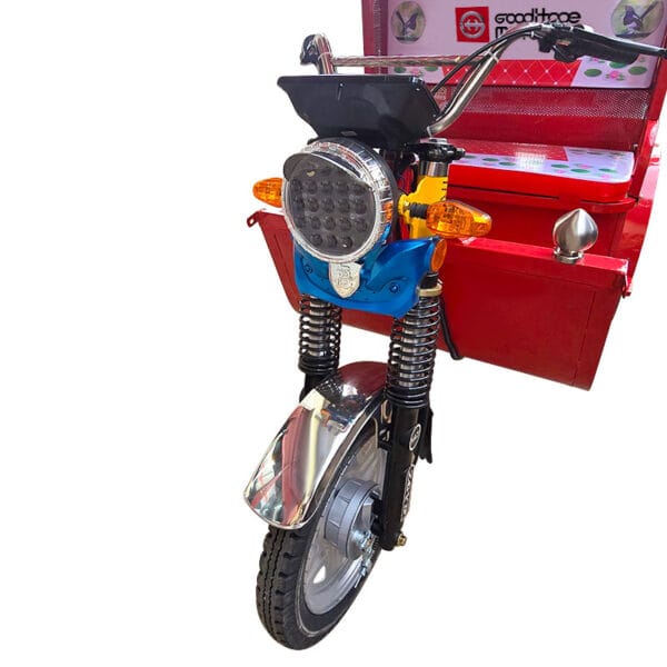 Duranta E Bike Tricycle - Image 6