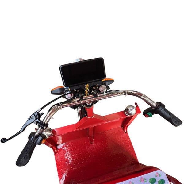 Duranta E Bike Tricycle - Image 7