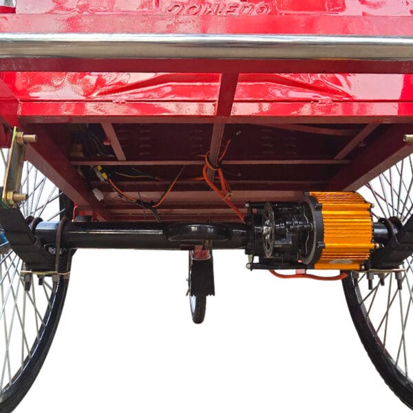 Duranta E Bike Tricycle - Image 4